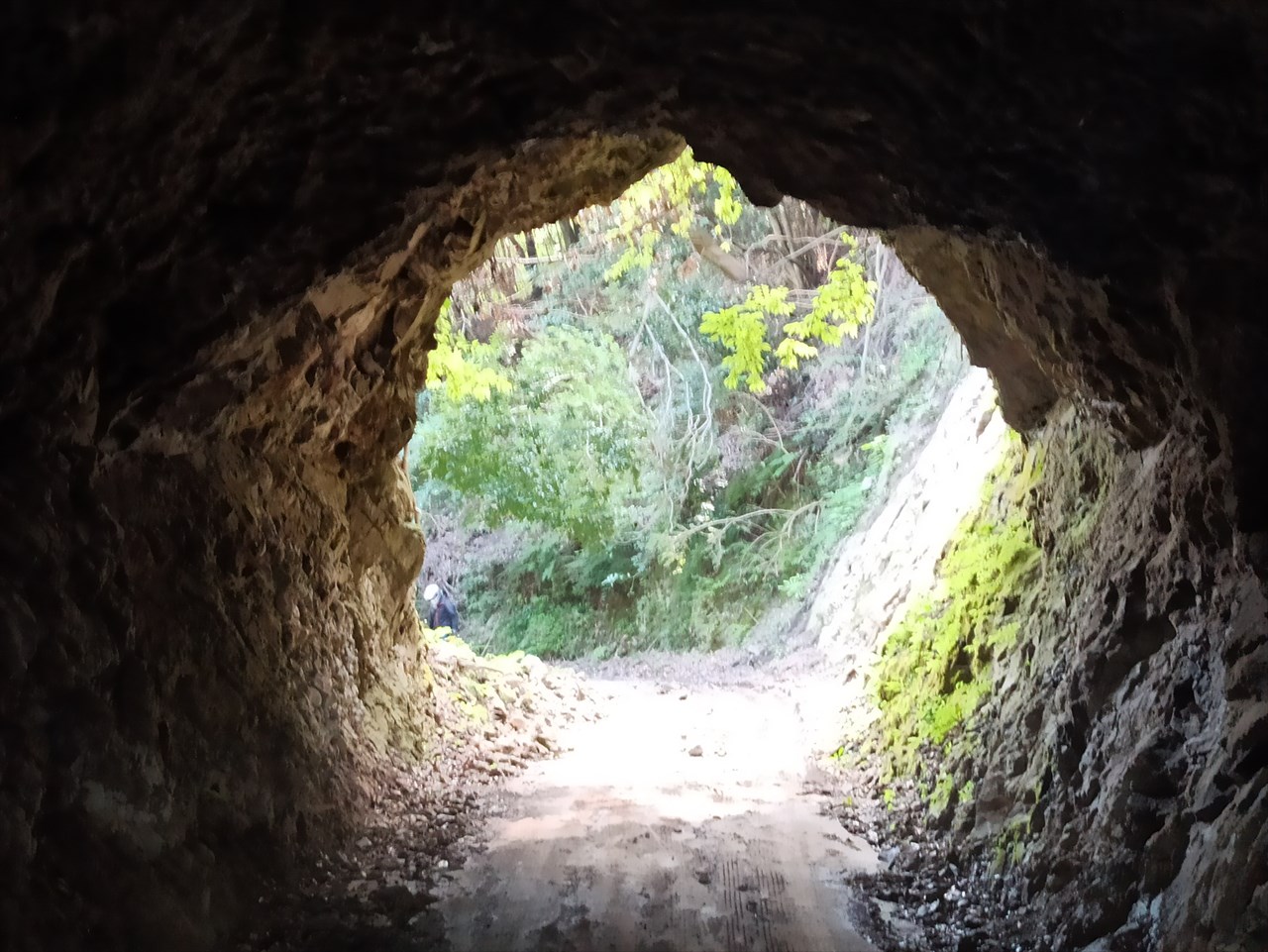 林道保田見線の３つの素掘りトンネル 房総半島素掘りトンネルナビ