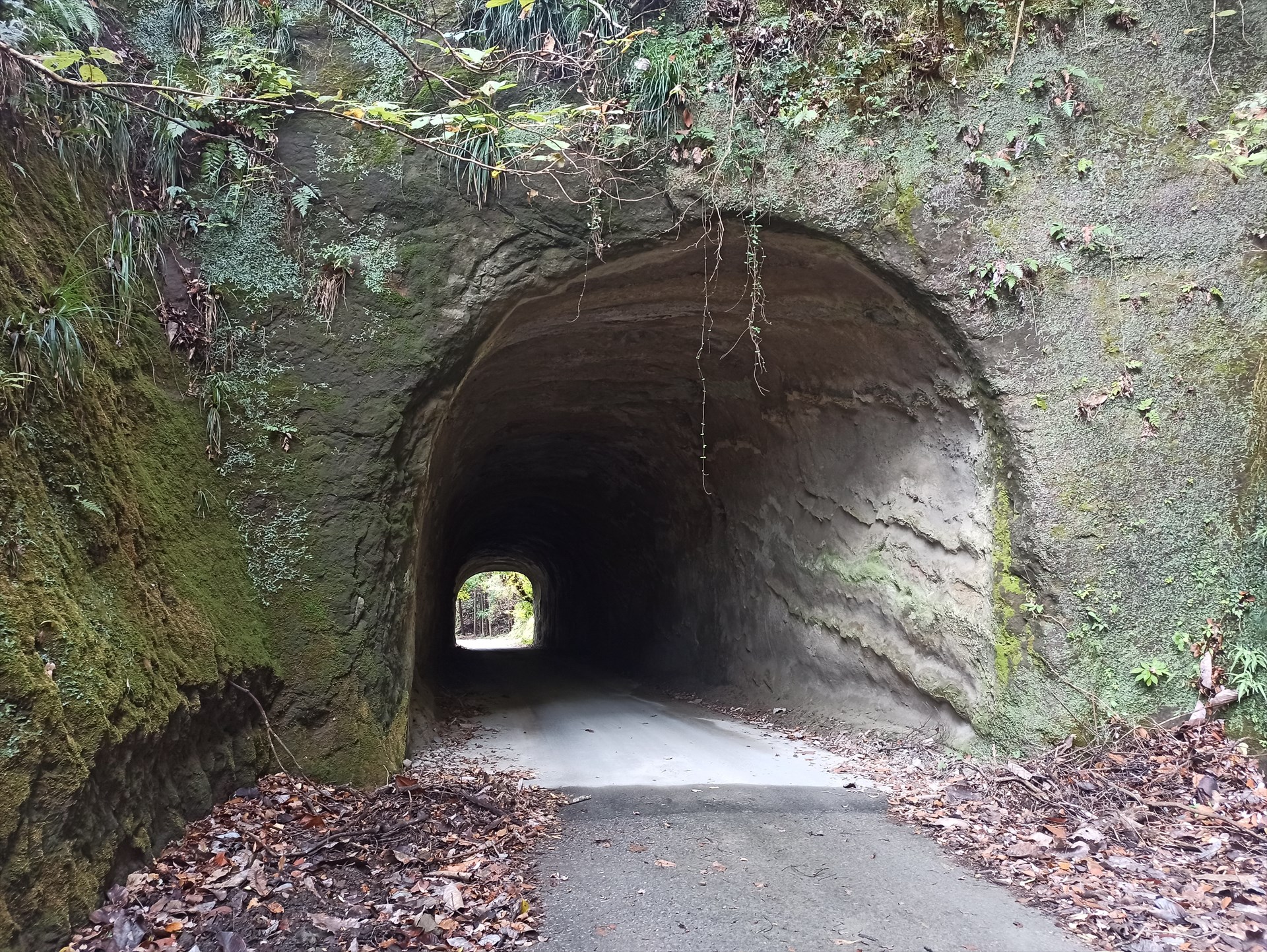高宕林道の素掘りトンネル 房総半島素掘りトンネルナビ