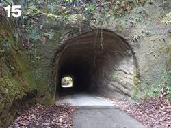 高宕林道の素掘りトンネル